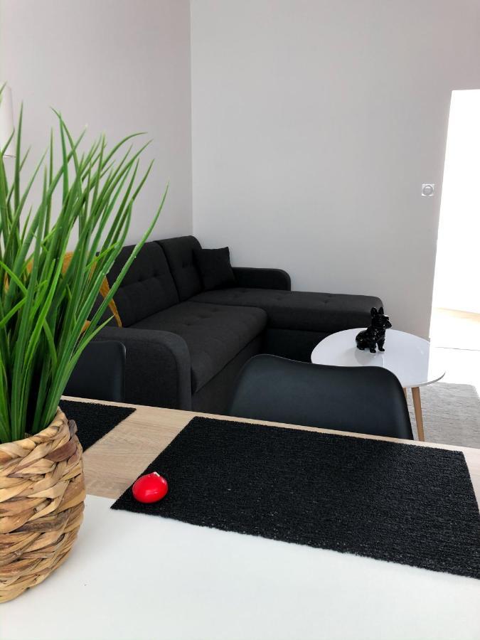 Grand Appartement Fonctionnel Proche Centre-Ville ソミュール エクステリア 写真